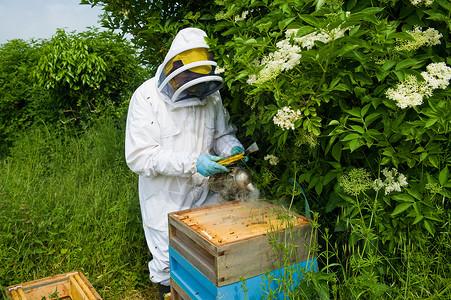养蜂人穿着防护服图片