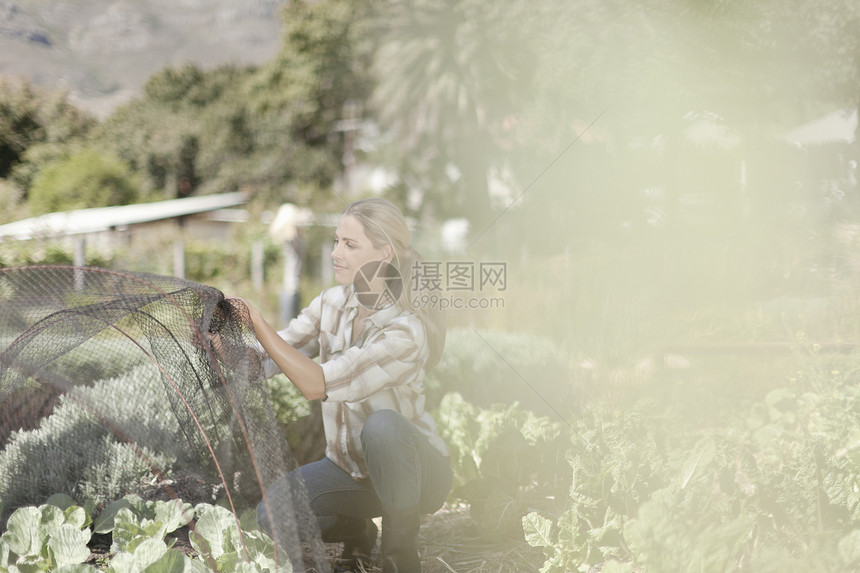 在农田整理网罩的女人图片