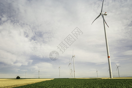 德国Pfalz风力农场背景图片