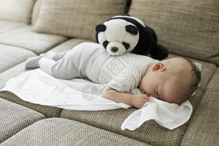 男孩和玩具熊猫睡在沙发上图片