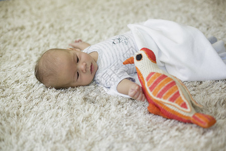 男婴躺在地毯上看着玩具鸟图片