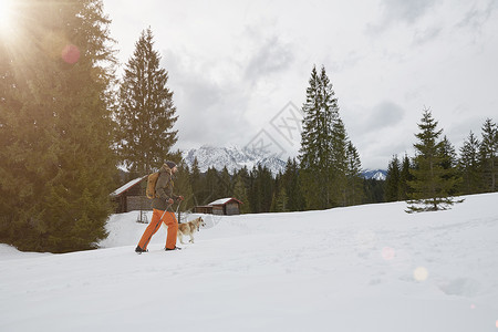 男子在带着狗在雪地行走图片
