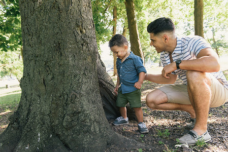 美国纽约布朗克斯市PelhamBay公园与父亲一起看树洞时背景图片