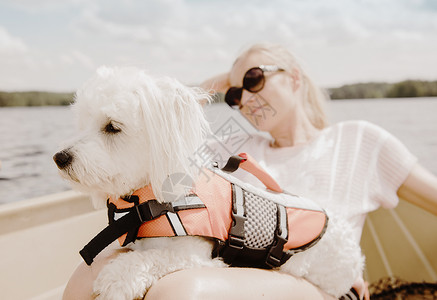 女人带着宠物狗坐船背景图片