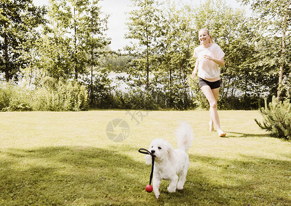 芬兰奥里维西花园中妇女追逐着狗图片