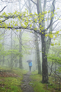 在美国弗吉尼亚州公园撑着雨伞行路的人背景图片