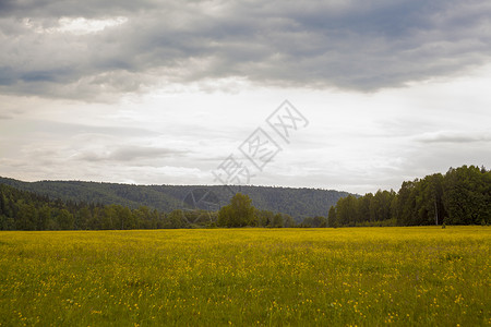俄罗斯乌拉尔的田地景观图片