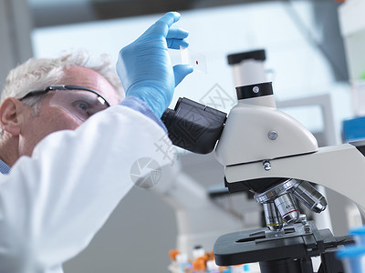 科学家制作载有人类血样本薄片在实验室用显微镜查看以进行医学检测图片