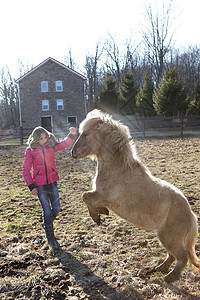 在外面玩小马的年轻女孩图片