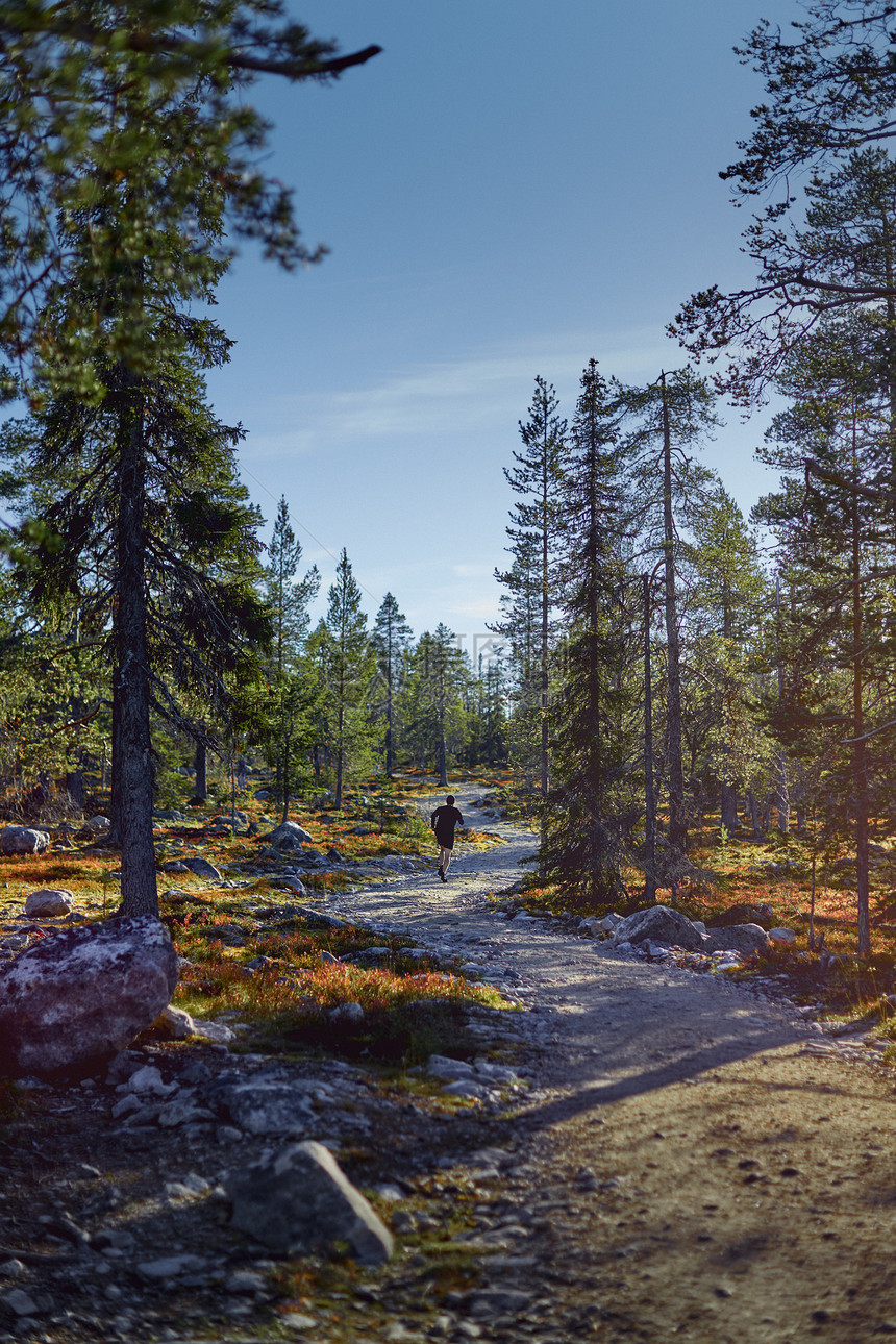 芬兰拉普兰萨基通图里森林中的人迹图片