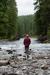 河岸上牵着狗的男子的后视图图片
