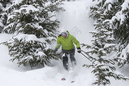 滑雪下山在树之间图片