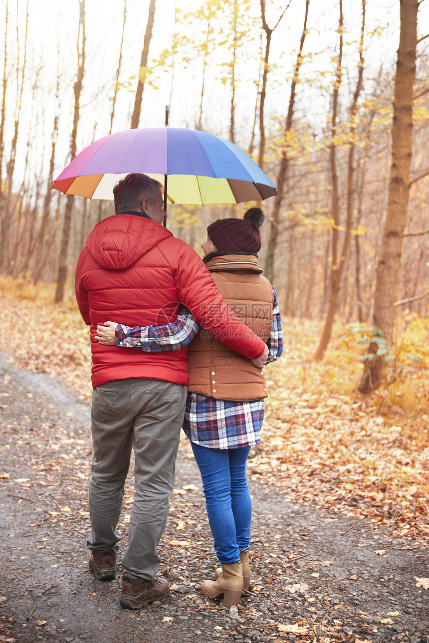 在秋天沿农村道路行走的夫妇携带伞后视图片