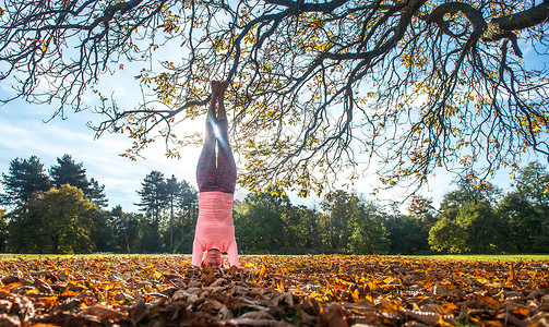 秋天在公园做瑜伽的女士图片