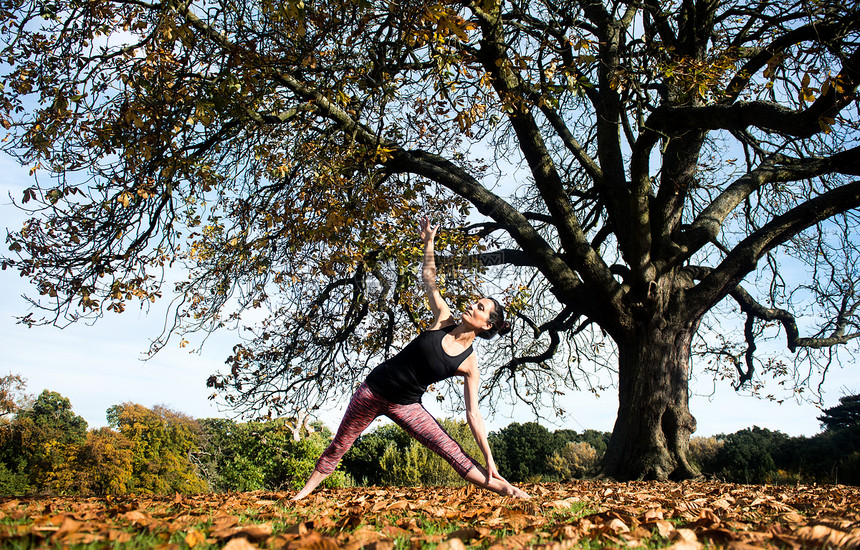 秋天在公园做瑜伽的女人图片