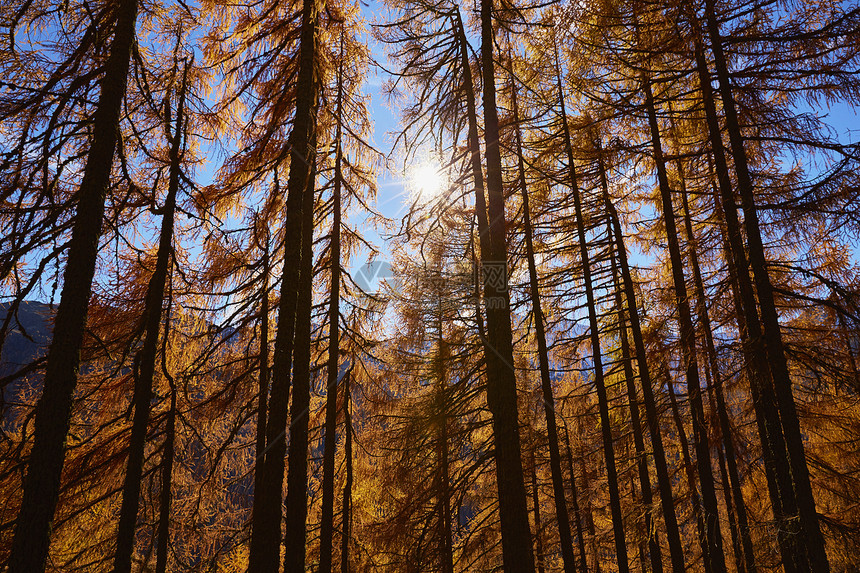 意大利南蒂罗尔州的秋日景象图片