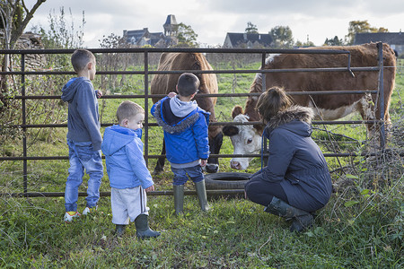牵着牛男孩母亲和儿子透过大门看牛背景