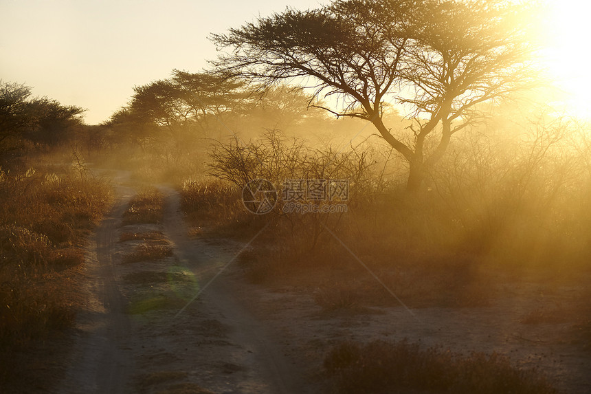 日落时的纳米比亚图片