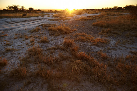 日落时的平原地貌纳米比亚图片