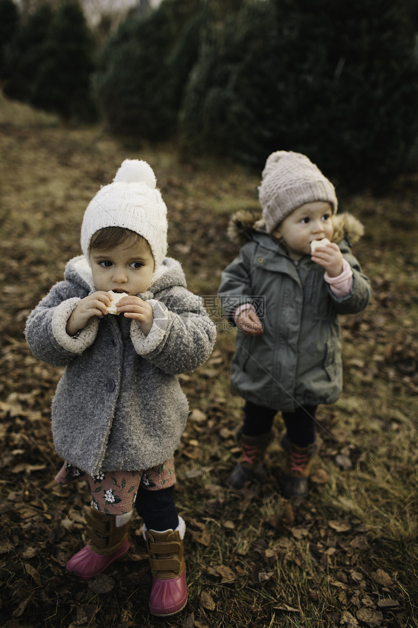 在森林中吃着手中面包的女孩图片