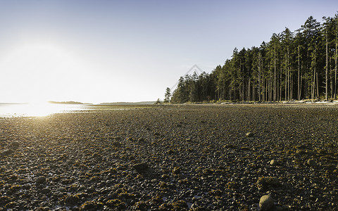 加拿大不列颠哥伦比亚省级公园海滩高清图片