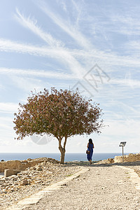 塞浦路斯的树图片