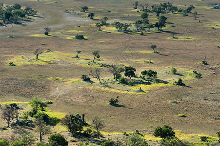 非洲大草原的航拍图片