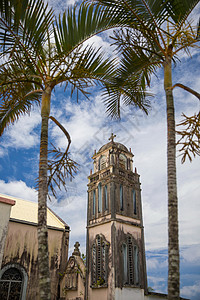 留尼汪岛教堂钟楼和棕榈树图片