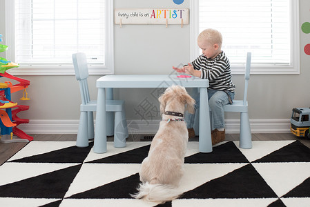 小男孩在桌上玩粉红面团狗狗坐在旁边看着图片
