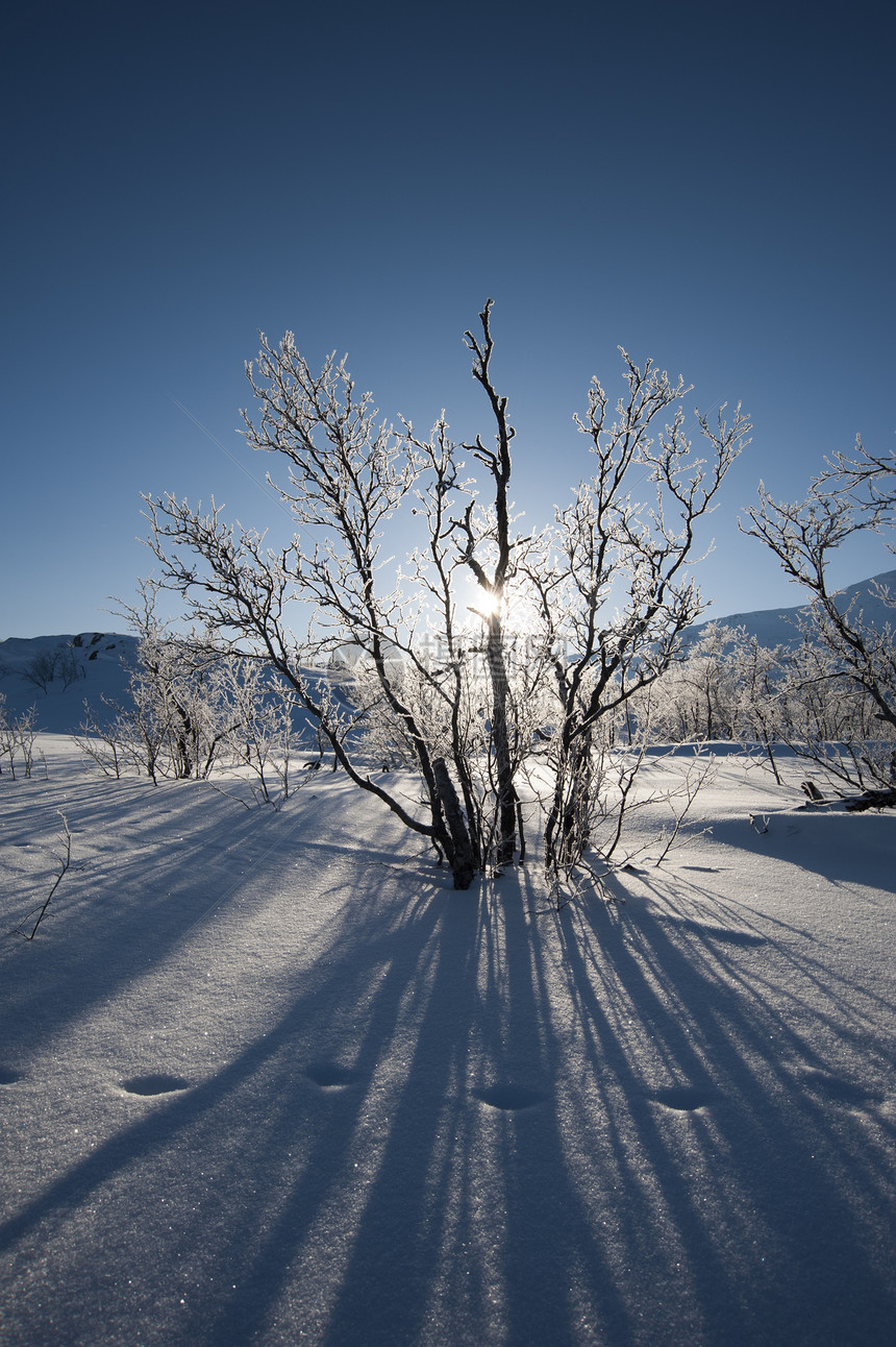 瑞典基律纳冻结的地貌图片