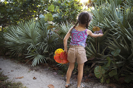小女孩室外收集海草叶高清图片