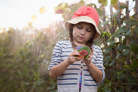 美国佛罗里达州朱庇特吹石保护区拿着树叶看的女孩高清图片