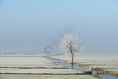 冬季的圩区景观高清图片