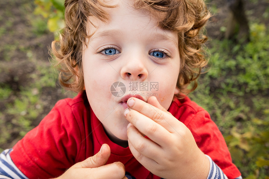 在葡萄园里吃葡萄的男孩图片