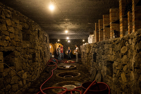 葡萄酒窖的工人图片