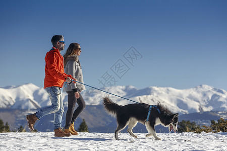 在雪中行走的一对夫妇遛狗高清图片