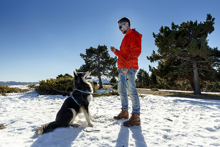 塞尔达在雪地中训练狗的成熟男子背景