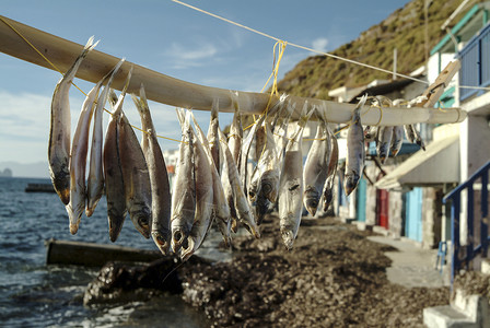 希腊米洛斯岛村子上晾晒干鱼高清图片