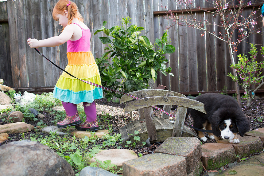 年轻女孩试图在花园里走宠物狗图片