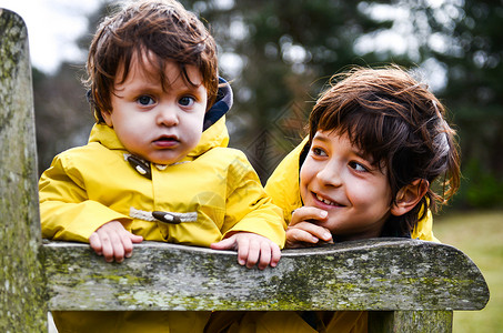 公园长椅上黄色的动脉中男孩和哥的肖像图片