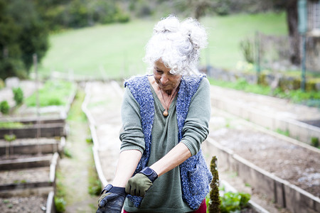 白头发的老奶奶准备戴上园艺手套高清图片