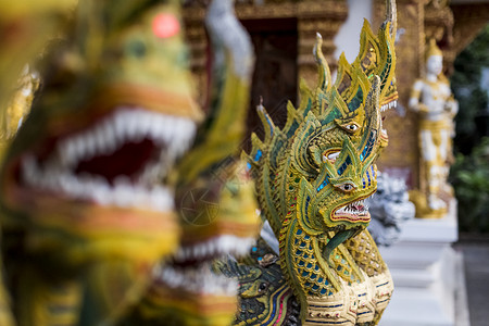 泰国清迈佛教寺庙一排龙图片