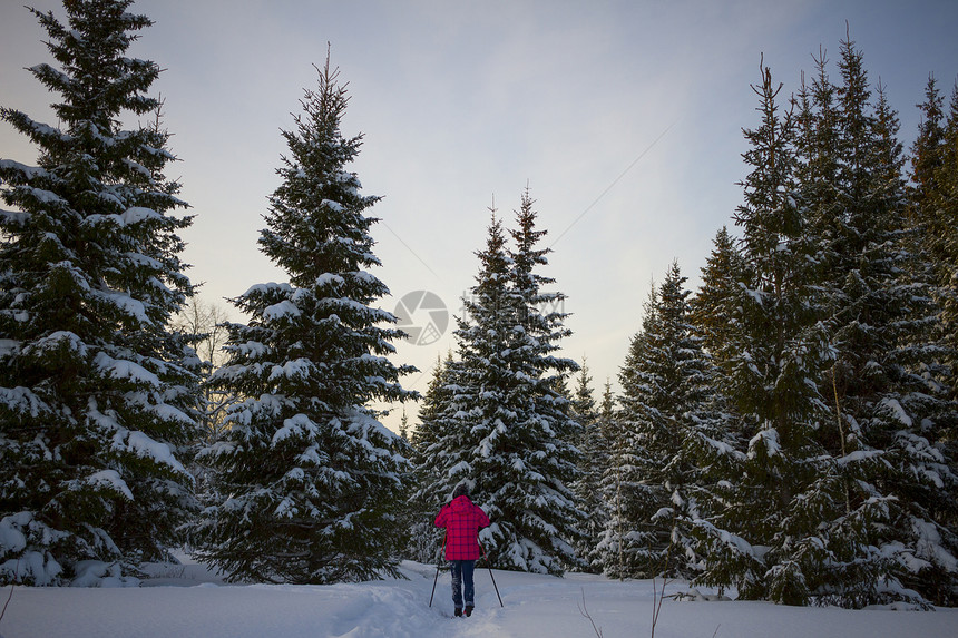 少女滑雪俄罗斯丘索沃图片