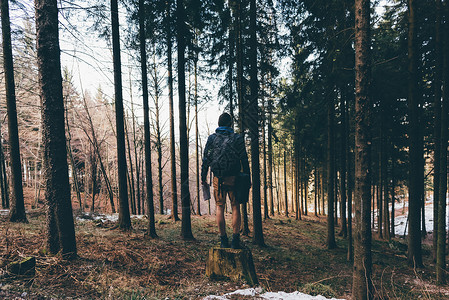 站在森林树桩上的男徒步旅行者的背影背景图片