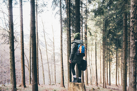 站在森林树桩上的女徒步旅行者的背影图片