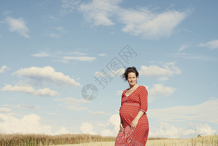 海布希特蓝天下麦田里的孕妇背景