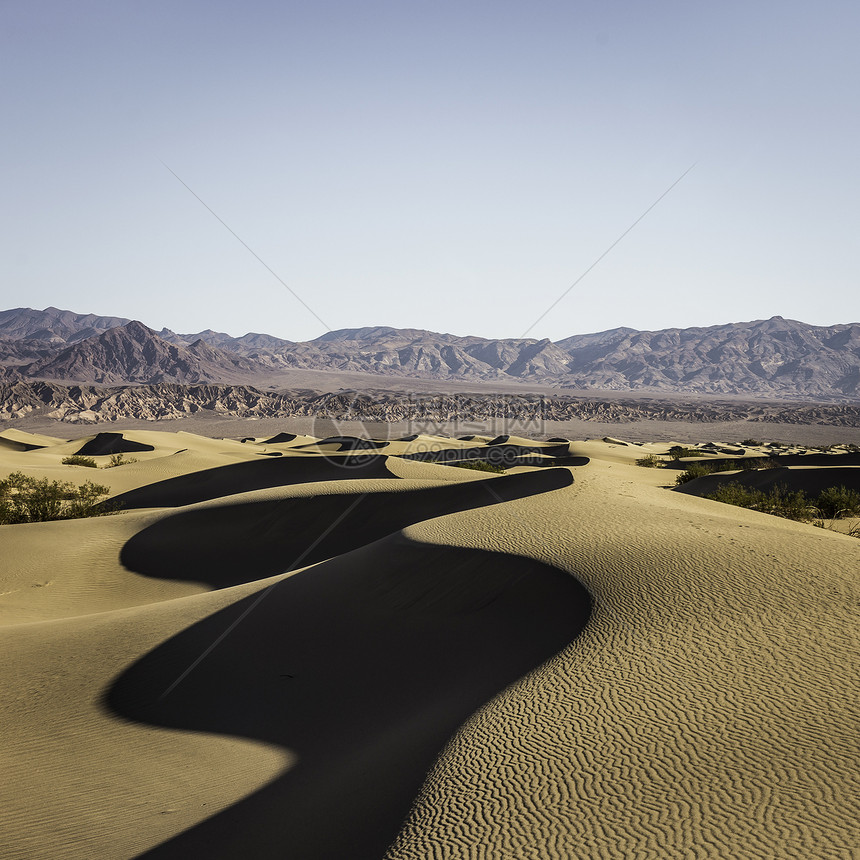 美国加利福尼亚州谷公园的影子梅斯基特平板沙丘图片
