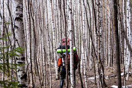 森林里背着背包的徒步旅行者图片