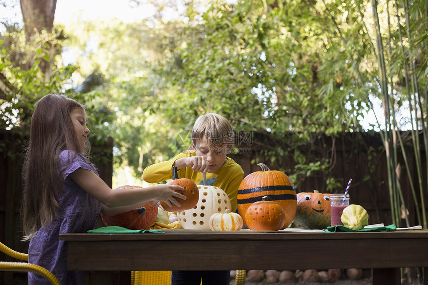 男孩和妹妹在花园桌上雕刻南瓜图片