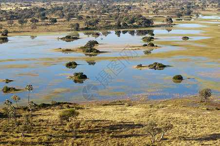 博茨瓦纳奥卡万戈三角洲的湿地图片